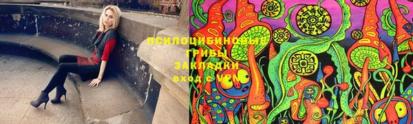 стафф Новокубанск