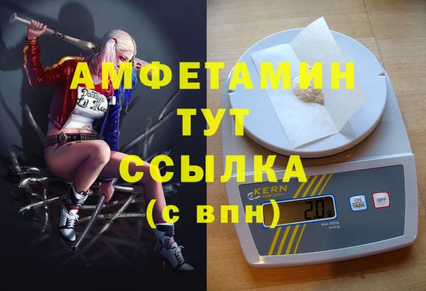 стафф Новокубанск