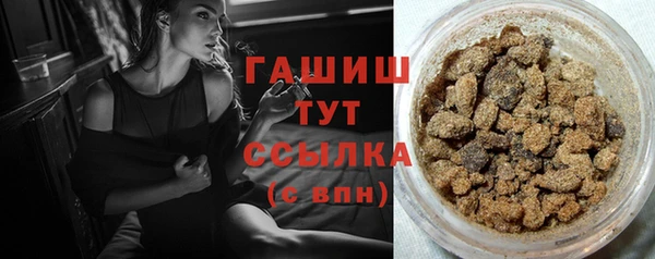 стафф Новокубанск