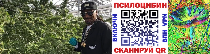 Галлюциногенные грибы MAGIC MUSHROOMS  где купить наркоту  Приволжск 